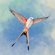 Wingspan: The Board Game(Mod, Paid for free) icon